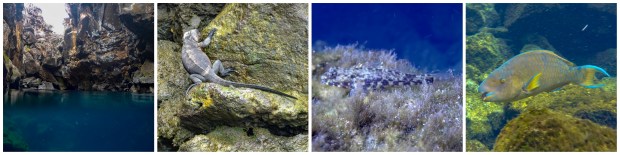 isla santa cruz day 1